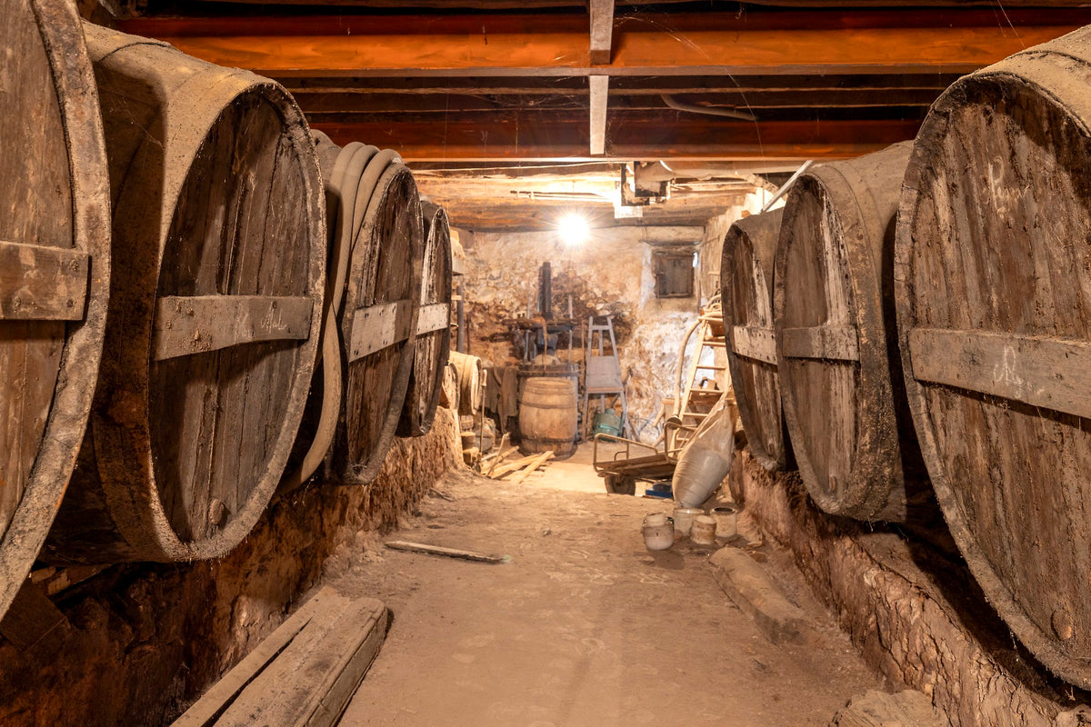 Wine barrels in the old cellar
