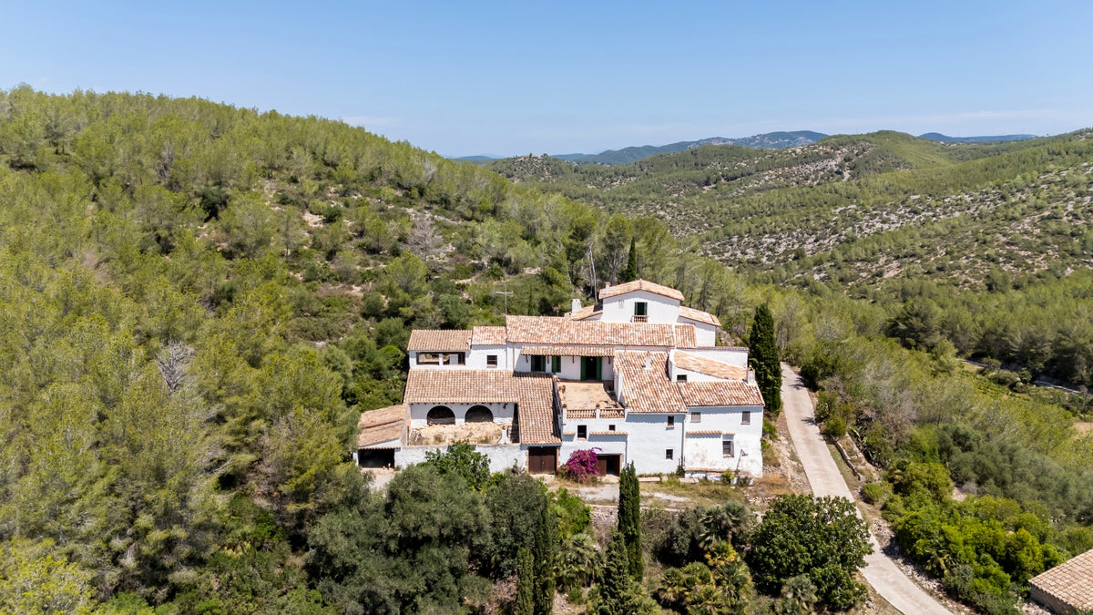 Aerial photo of the masia among the pines