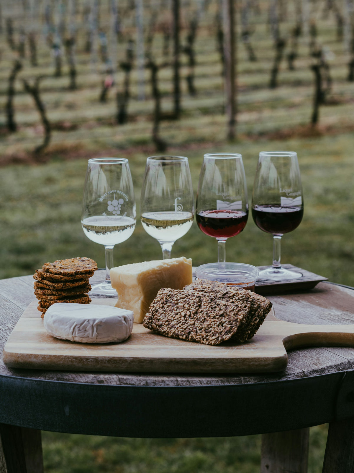 Wine and cheese on a table outdoors