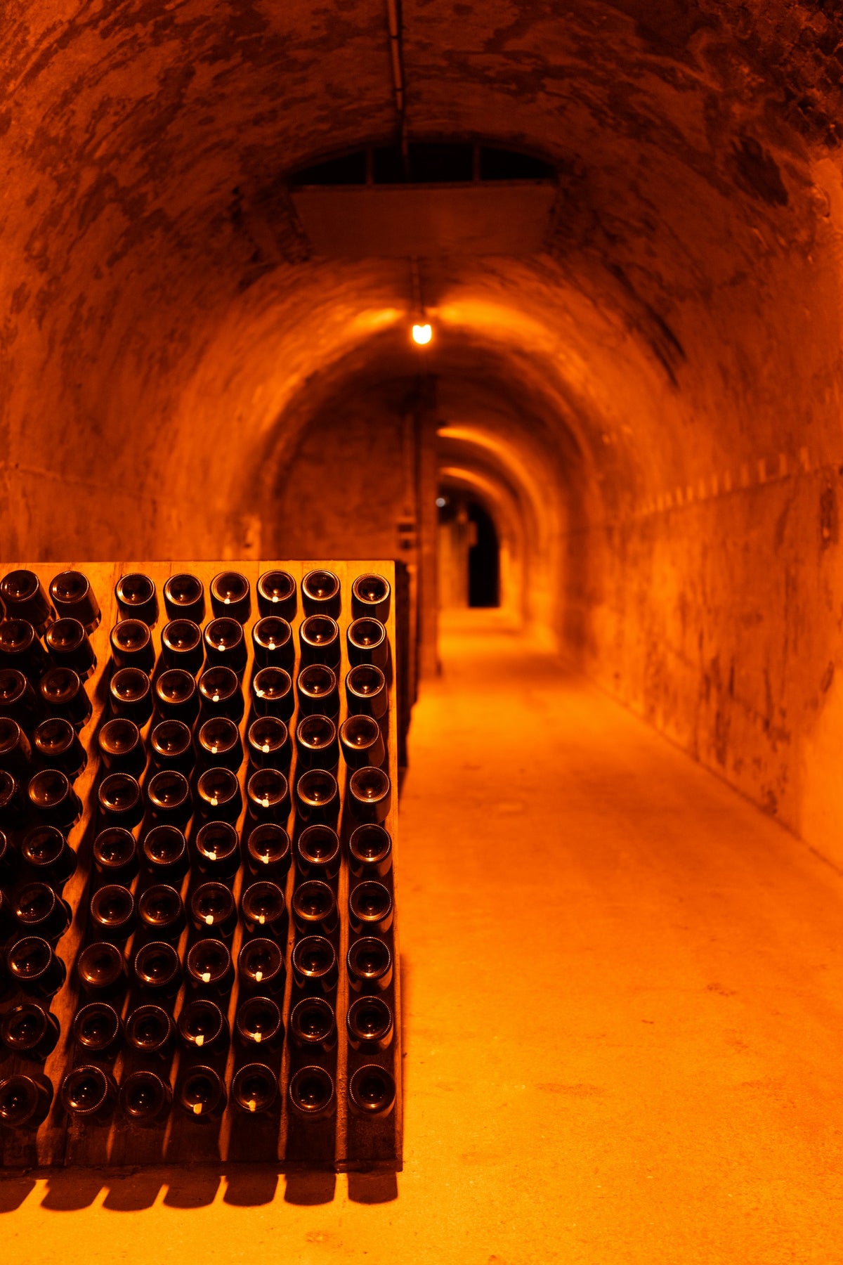 Bottles of cava resting in a cellar